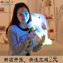 七彩发光海豚毛绒玩具可爱卡通抱枕玩偶公仔床上抱枕生日礼物女