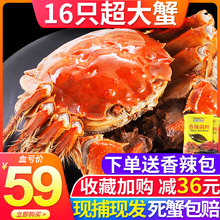 【共16只】大闸蟹鲜活现货六月黄特大公母蟹海鲜水产鲜活螃蟹鲜活