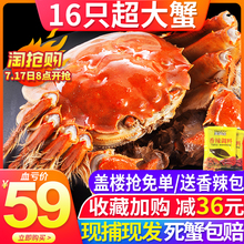 【共16只】大闸蟹鲜活现货六月黄特大公母蟹海鲜水产鲜活螃蟹鲜活