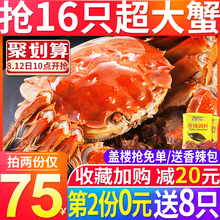 抢第2份0元 大闸蟹鲜活现货六月黄特大蟹海鲜水产鲜活螃蟹鲜活