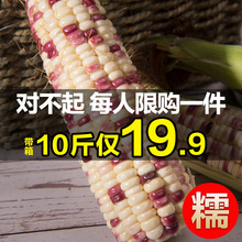 包邮 笋现摘现发即.. 云南都乐广西新鲜牛奶水果花糯甜玉米整箱10斤