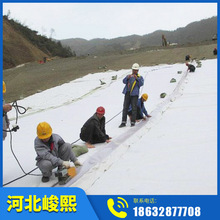 道路水泥养护布园林绿化市政工程白色土工布毛毡透水土工布无纺布
