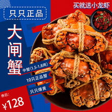 【买就送小龙虾】大闸蟹鲜活10只公母六月黄母蟹公蟹1.5-1.8两
