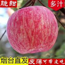 苹果山东烟台5斤水果生新鲜脆甜当季一整箱批现货包邮栖霞红富士