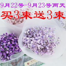 饰干花花束家居摆设小清新淡雅永生花网红小花束 满天星批发真花装