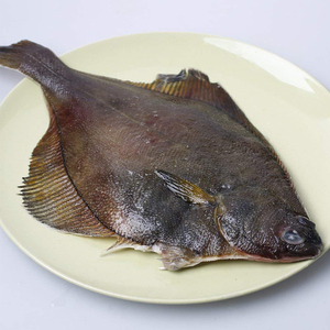 冷冻海鲜批发品牌店铺