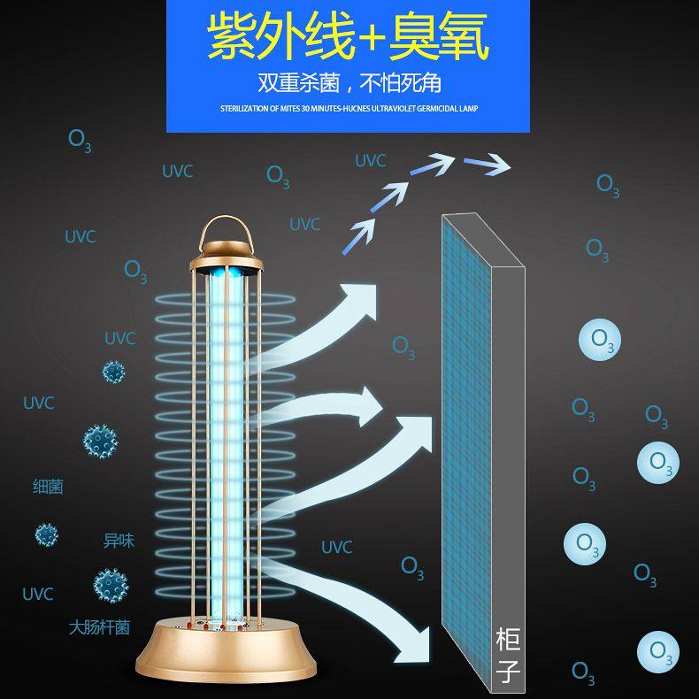 �����˳����� ��ɫ��