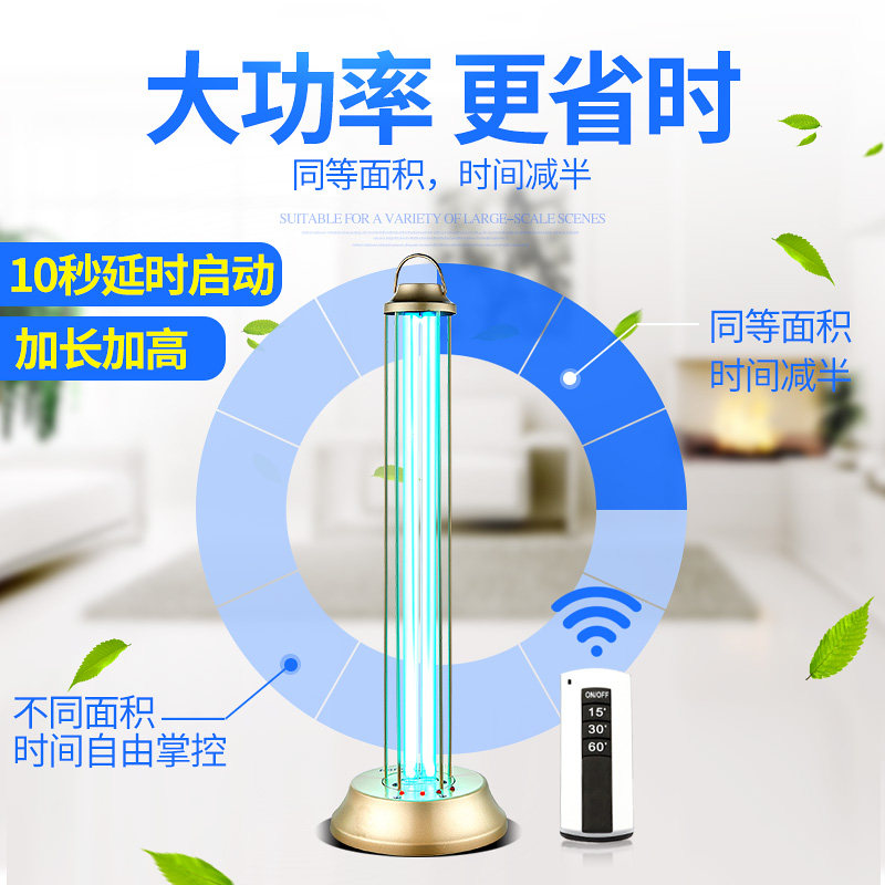 �����˳����� ��ɫ��