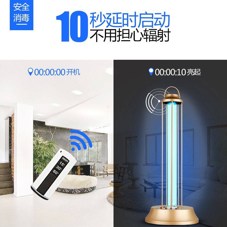 �����˳����� ��ɫ��