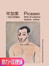中国首次大规模毕加索作品展 真迹展 毕加索——一位天才 Birth 诞生 Picasso Genius