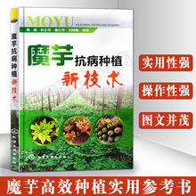 魔芋抗病种植新技术高产魔芋种植技术书鬼芋去肠砂磨芋高效栽培魔芋 种植技术知识大全资料教科书农业种植业书籍化学工业出版社
