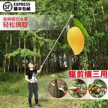 高枝剪伸缩摘果器多功能摘果神器高空剪果树剪刀摘枇杷树枝摘果剪
