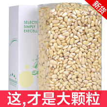 新货俄罗斯纯野生红松子仁500g天然熟散装1斤大颗粒免剥去壳松籽