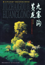 汉英对照 作品赏析书籍 作品集 书店 九寨沟.黄龙 包邮 王达军 正版