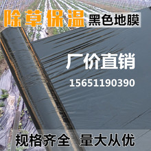 包邮 地膜塑料膜农用种植蔬菜果树苗保温膜白地膜加厚除防草黑地膜