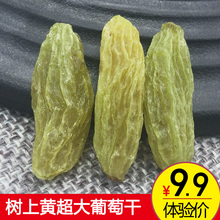 特级超大免洗5斤整箱大颗粒即食500g散装 葡萄干新疆 2斤提子干
