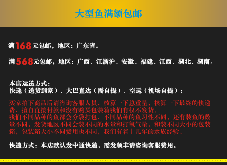 招财猫狗仔鲸红尾鲶鱼底层鱼热带观赏鱼活体大