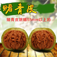彩之酷赌青皮文玩核桃四座楼狮子头王勇麒麟纹官帽青皮麻核桃