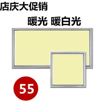 集成吊顶灯暖光价格