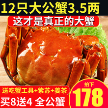 仲秋大闸蟹螃蟹现货公3.5两新鲜螃蟹鲜活大闸蟹全公蟹年货团购