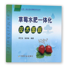 草莓科学施肥技术书籍 草莓高效栽培种植技术大全教程书籍 草莓水肥一体化技术图解 病虫害预防诊断书 草莓种植技术书籍 正版现货