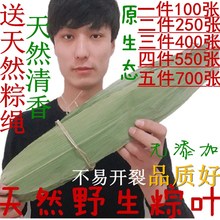 粽子叶 粽叶 干粽叶 包粽子叶子大粽叶新鲜野生箬叶多买多送批发
