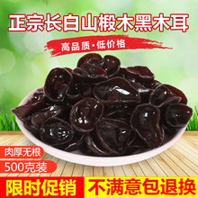 特级商用 东北黑木耳秋木耳小碗耳长白山椴木老鼠耳干货500g非散装