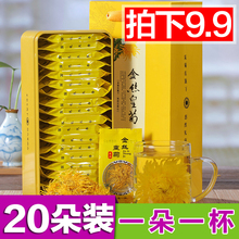 铁盒装 茶叶20朵装 金丝皇菊大菊花茶一朵一杯黄菊胎菊贡菊婺源大