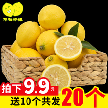华秧安岳黄柠檬10个装当季新鲜水果二级柠檬皮薄多汁小果批发包邮