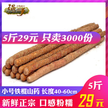 铁棍山药温县 包邮 强于 河南焦作淮铁杆面怀长山药5斤装 限区