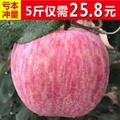 新鲜苹果水果山东烟台红富士苹果批发一整箱平果5斤包邮吃的萍果