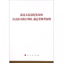 最高人民法院发布 裁定罪典型案例 人民 打击拒不执行判决 正版 9787010194769