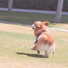 每日特价