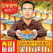 正宗蜂蜜天然纯正农家自产野生蜂蜜百花结晶蜜洋槐槐花蜜峰蜜500g