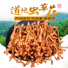 精选无硫野生虫草花正品 特级孢子头干货蛹虫草煲汤 买1送1共250克