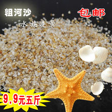 天然粗河沙粗砂多肉铺面微景观粗沙颗粒种植河砂水族鱼缸底砂5斤