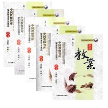 五配套课本教师参考用书课本配套顶尖教案 人教版高中必修1 5语文鼎尖教案延边教育出版社高中语文课本必修一