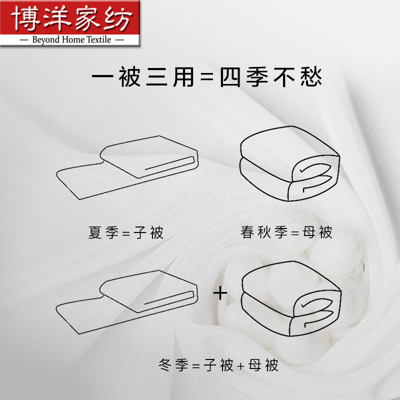 �����˿��ĸ��W91513231114