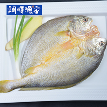 黄花鱼 湛江海鲜水产鱼350g 新鲜深海鱼 调顺渔家 黄鱼 4条