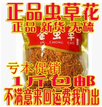 北虫草 包邮 金虫草500克 特级孢子头排草 虫草花新品 农家自种