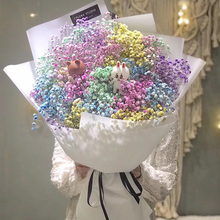 教师节七彩满天星花束鲜花速递上海同城生日杭州苏州无锡送女朋友