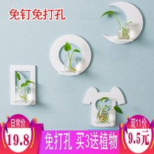 墙壁装饰卧室墙面墙上装饰品创意家居壁挂水培玻璃花瓶挂墙花盆