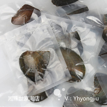 一珠蚌密封珍珠蚌养殖取珠中国淡水珍珠之乡养殖基地直供真空包装