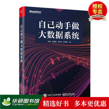 自己动手做大数据系统 大数据时代统计分析 数据库原理及应用 分布式大数据系统开发视频教程书籍 现货正版 大数据存储分析书籍