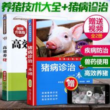 猪病诊治一本通 猪常见病诊治技术与防控科学猪饲料配制科学饲养指南书实用养猪技术 养猪技术大全书籍 视频升级版 高效养猪
