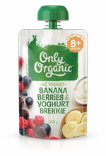 四件起拍 ORGANIC 奥莉果泥120 ONLY