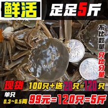 鲜活现货小闸蟹大闸蟹香辣蟹一元蟹小螃蟹小螃蟹毛蟹公母各半醉蟹