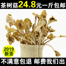 包邮 24.8一斤 新鲜农家茶树菇干货特级开伞茶薪菇香菇500g酒店适用