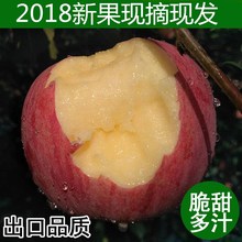 甘肃庆阳红富士孕妇吃的大苹果水果当季新鲜冰糖心10斤装整箱生鲜