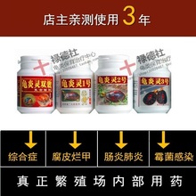 龟炎灵双效1号2号3号4号感冒白眼病肠炎肺炎肿眼腐皮烂甲腐甲